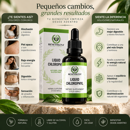 Clorofila Líquida Benevolent™ – Bienestar y Frescura Desde Adentro