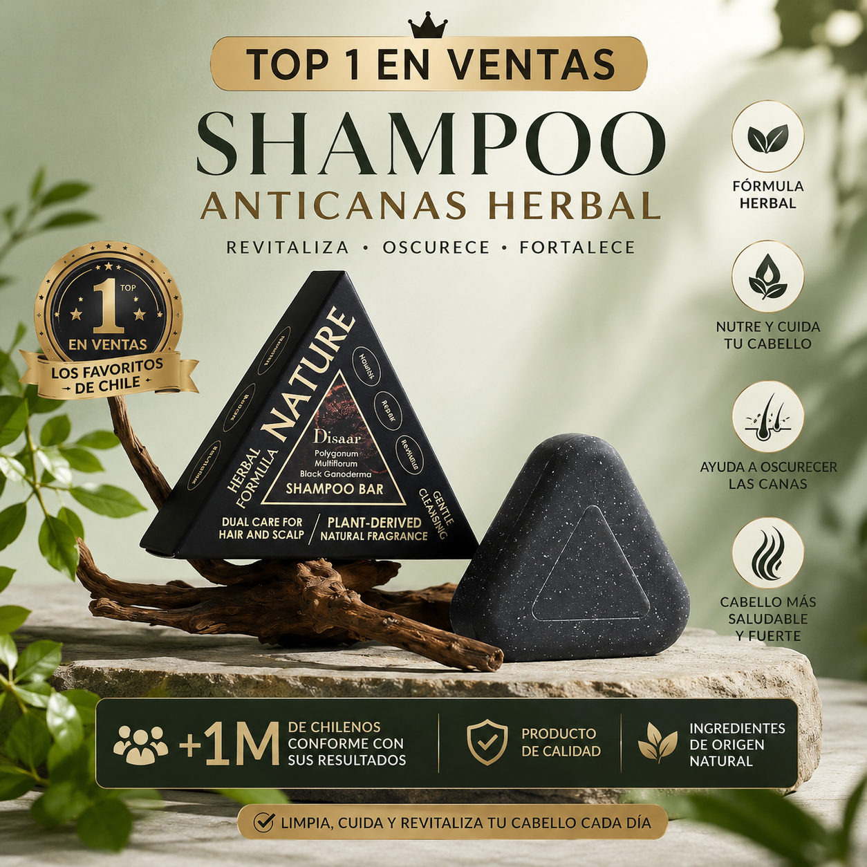 Shampoo Anticanas Herbal 🌿 | Recupera un Tono Más Oscuro Naturalmente