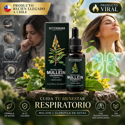 Mullein + Clorofila en Gotas | Apoyo Diario para tu Bienestar Respiratorio 🌬️