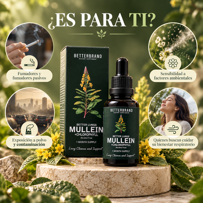 Mullein + Clorofila en Gotas | Apoyo Diario para tu Bienestar Respiratorio 🌬️