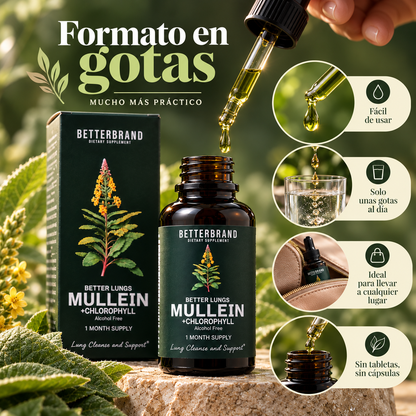 Mullein + Clorofila en Gotas | Apoyo Diario para tu Bienestar Respiratorio 🌬️